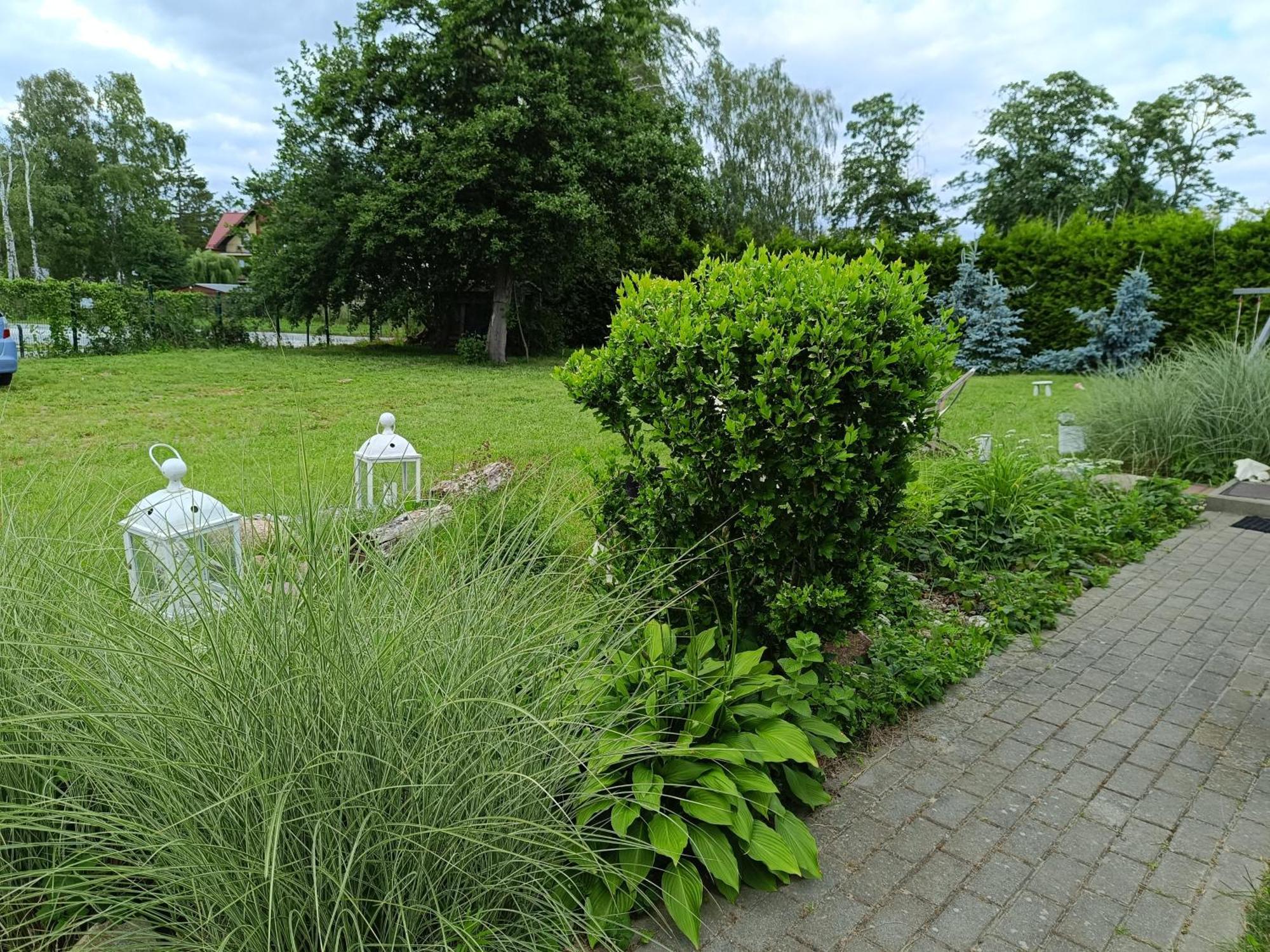 Domy Nad Zalewem Dziwnówek Esterno foto